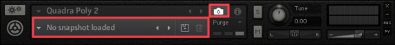 PLYR_Camera_Snapshot_Options.png