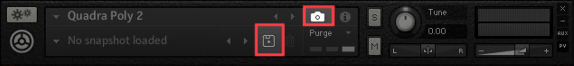 PLYR_Disk_Icon_Snapshot_Options.png