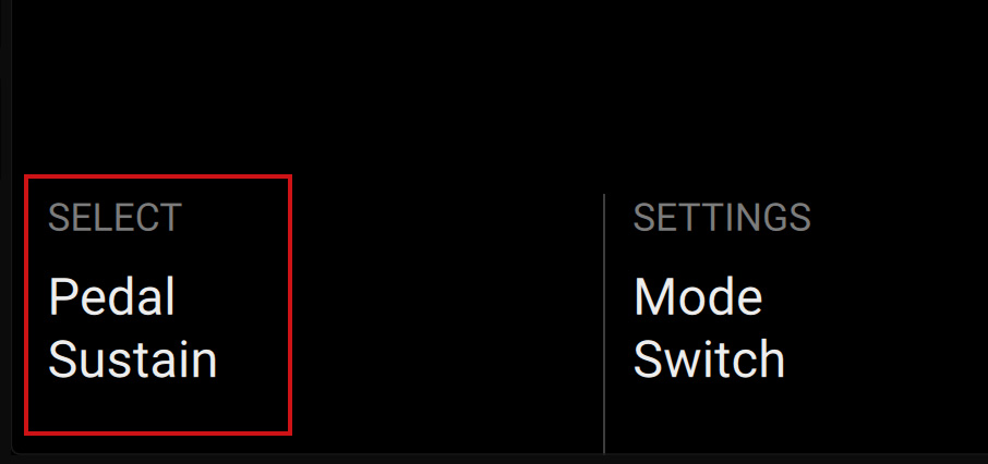 2 - SelectPedalSocket.jpg