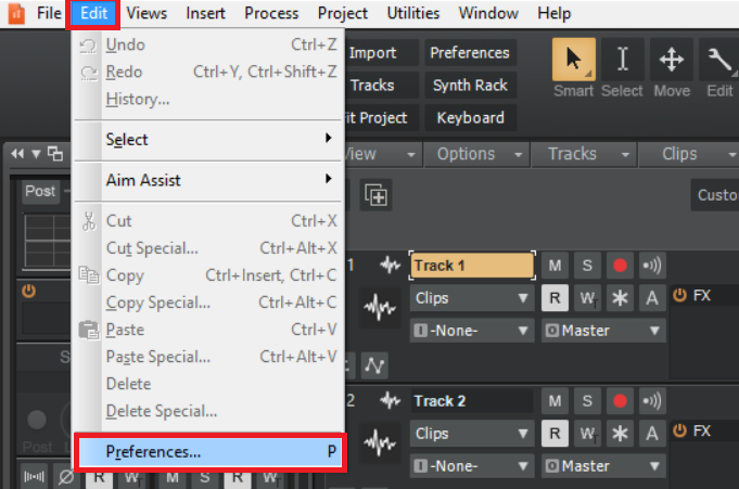 Cakewalk_edit_preferences.PNG