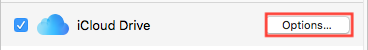 iCloud_Drive_Options.png