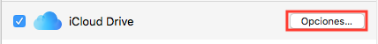 iCloud_Options_ES.png