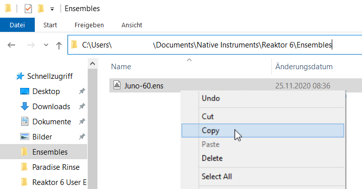 Reaktor_copy.PNG