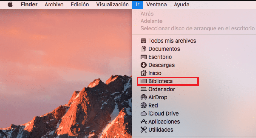 Ir_biblioteca.PNG
